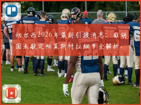 切尔西2026年最新引援消息：截胡国米敲定帕莱斯特拉细节全解析，转会费与官宣时间曝光